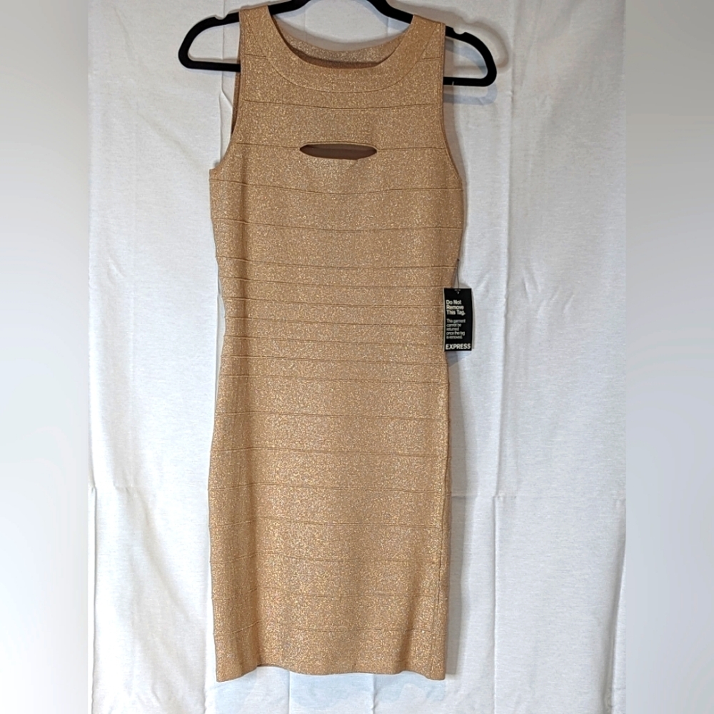 Express sleeveless mini dress